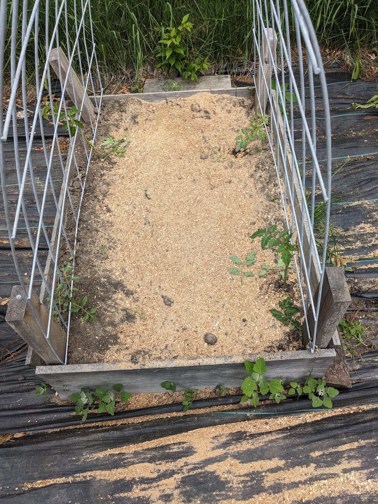 z Animal Bedding Organic Woodchips